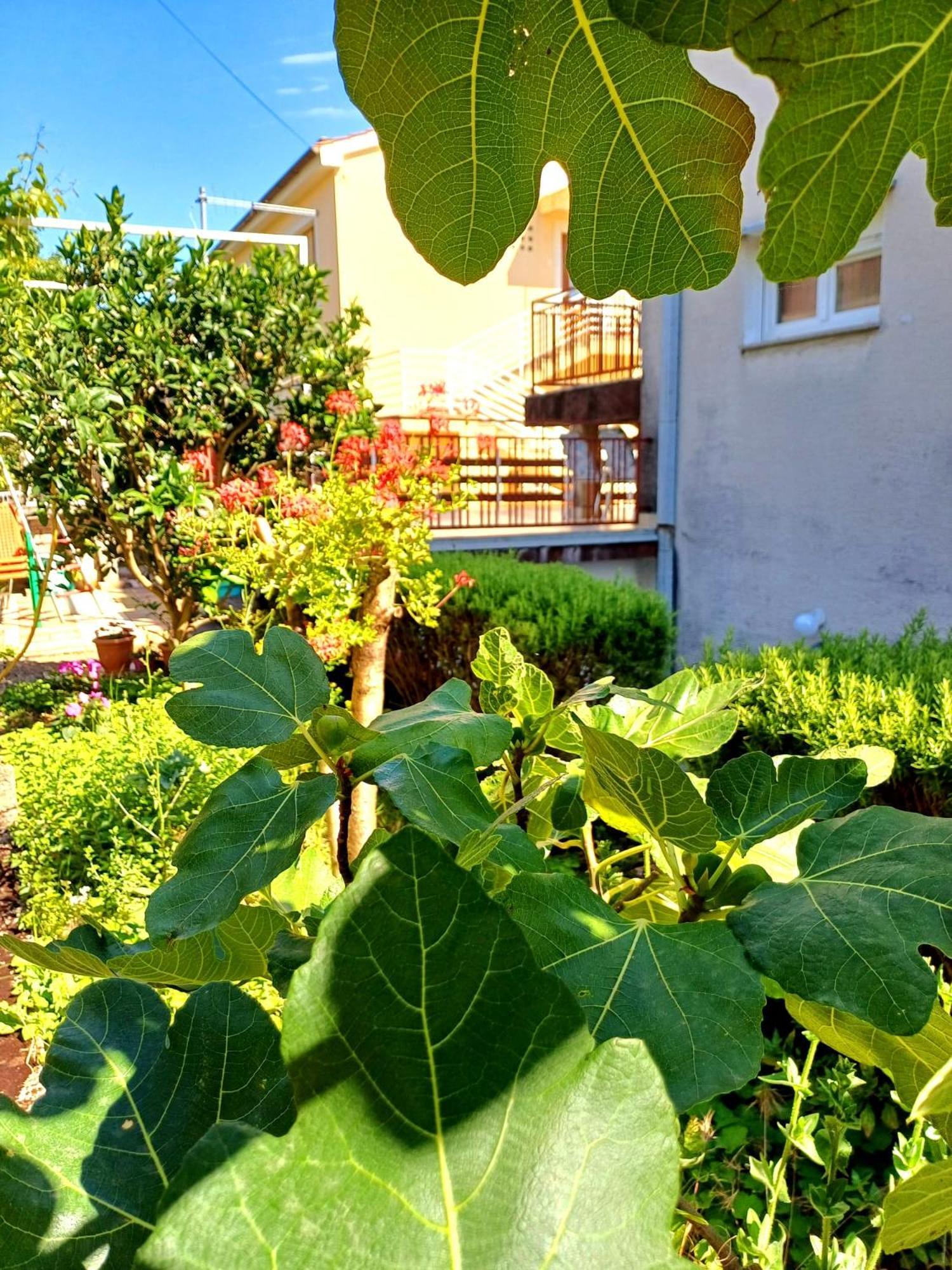 Apartament Adria Crikvenica Zewnętrze zdjęcie